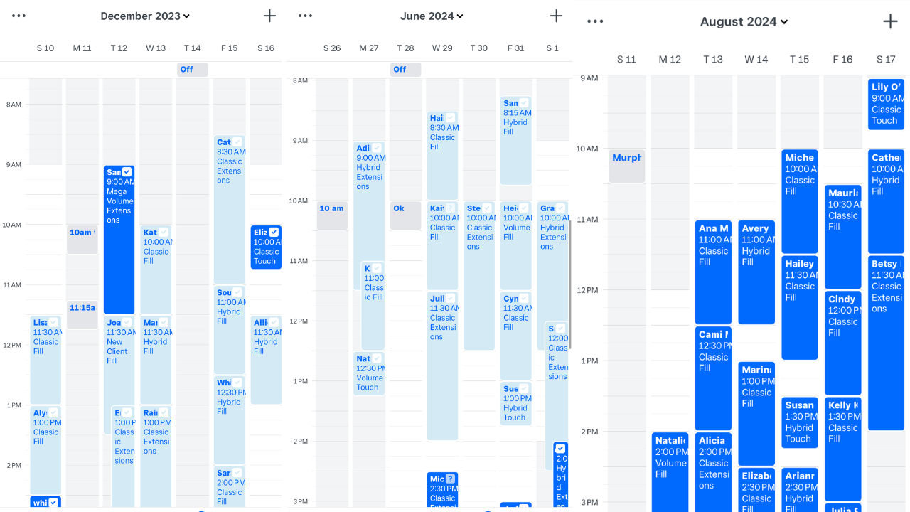 Fully booked lash artist client schedule — grow your lash business with Facebook and Instagram ads